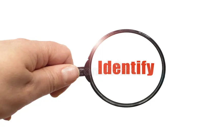 Identify Growth and Value Stocks